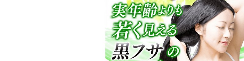 ���t�T�K���u���b�N�}�b�N�XS���T�C�g